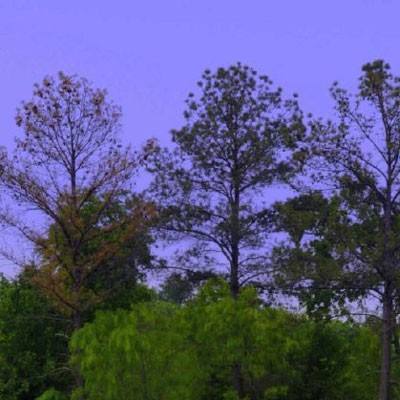 金沙澳门场娱网址