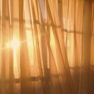 米乐网手机app下载