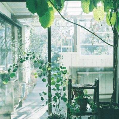 金年会app下载入口