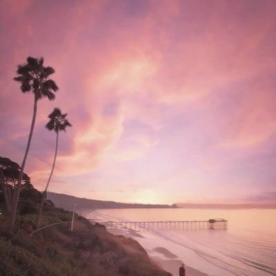 米乐网手机app下载