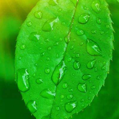 半岛·综合体育手机app下载